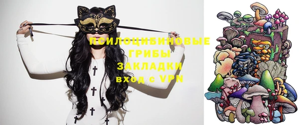 PSILOCYBIN Абинск