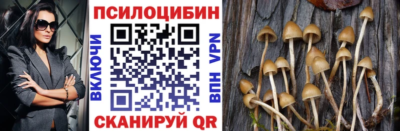 даркнет сайт  Урень  Галлюциногенные грибы MAGIC MUSHROOMS 